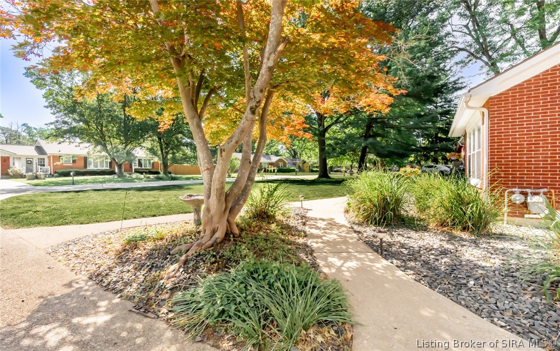 40 Forest Drive