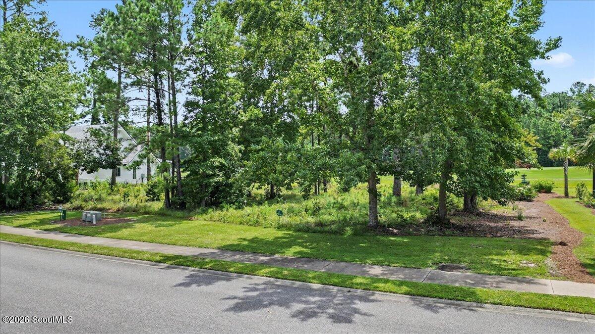 Wooded vacant lot beside a street and sidewalk, with utility boxes and a neighboring white house.