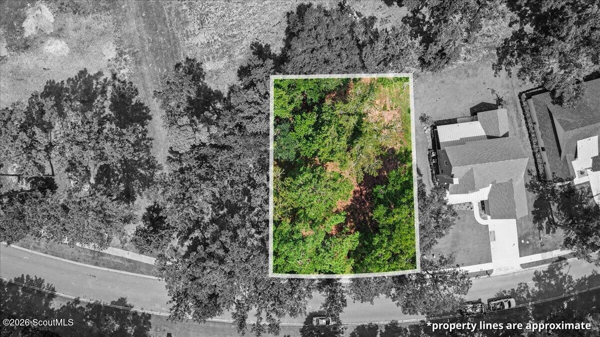 Aerial view of a wooded lot outlined beside a road and neighboring homes.