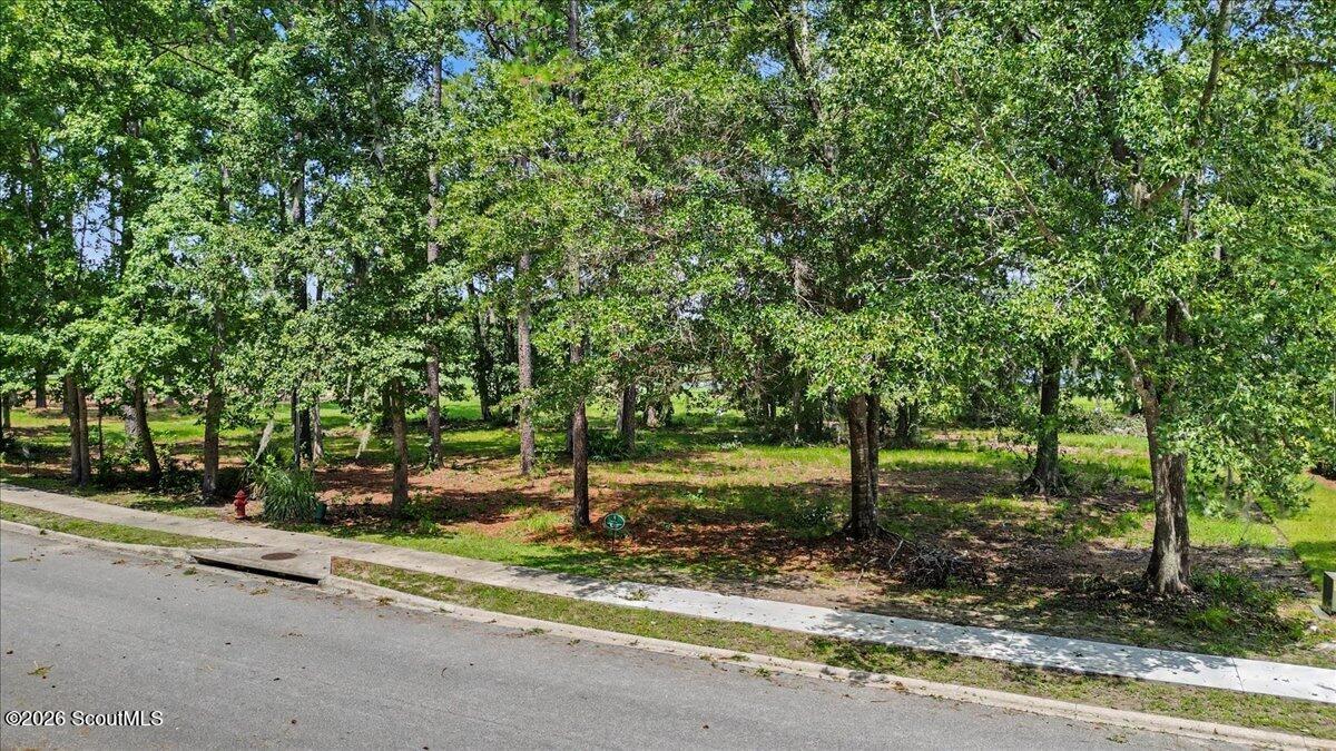 Wooded vacant lot with mature trees, sidewalk, and street frontage.