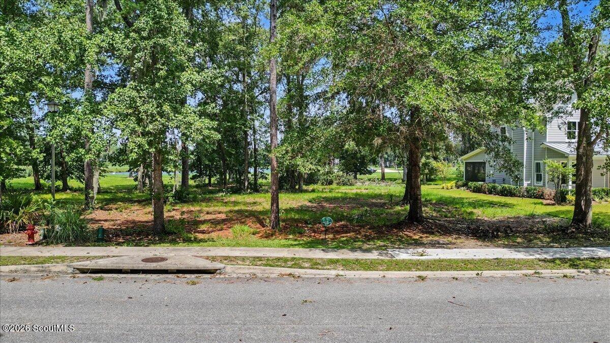 Wooded vacant lot along a sidewalk, with mature trees and a neighboring house.