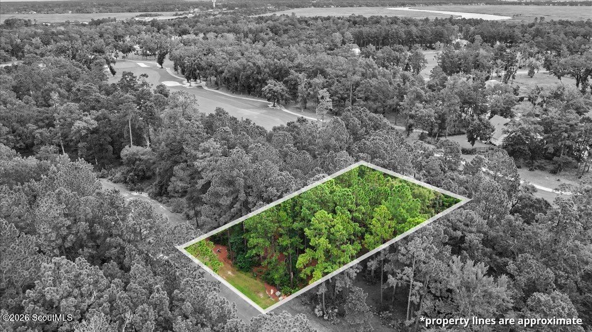 Aerial view of a wooded lot outlined beside a golf course, with approximate boundaries marked.