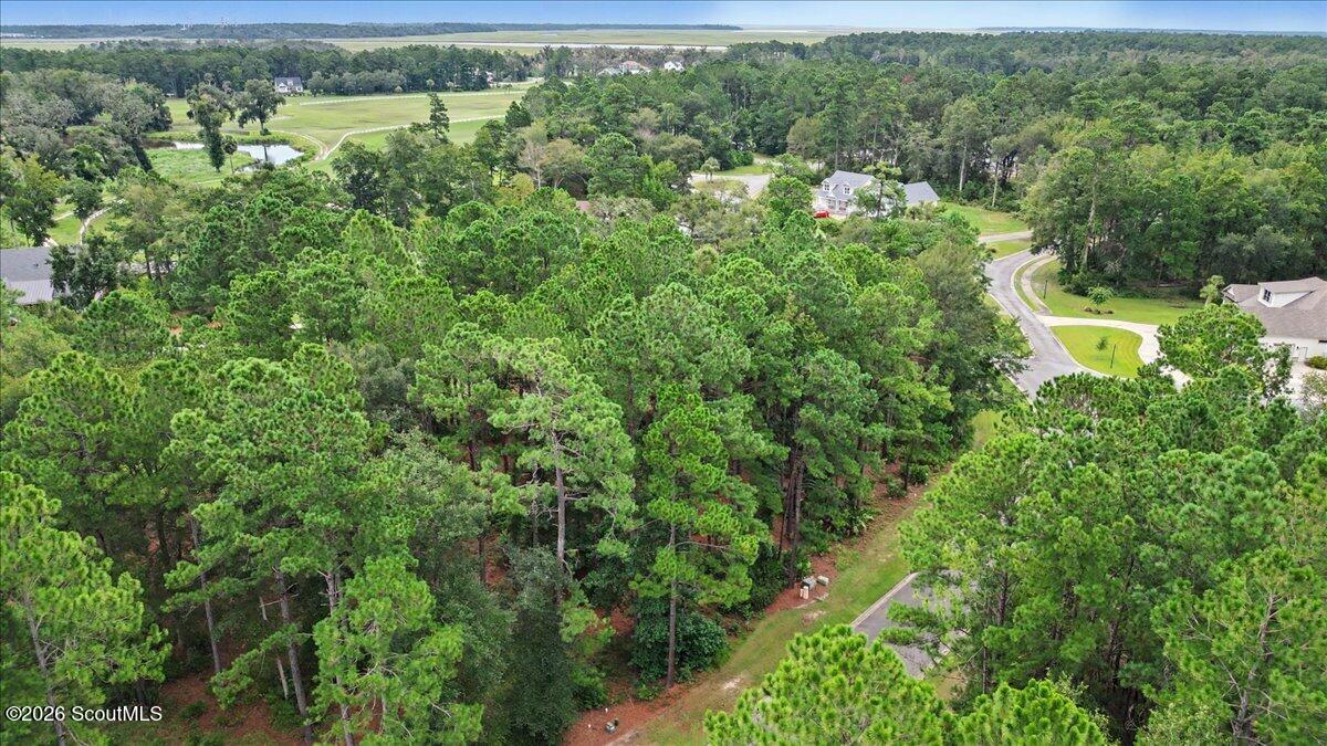 Wooded vacant lot beside a winding neighborhood road, with homes and open green space beyond.