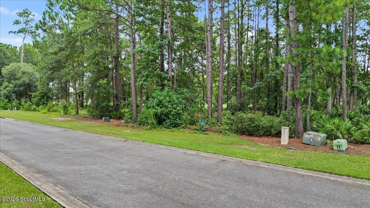 Wooded vacant lot beside a paved road, with mature trees and utility boxes along the grassy roadside.