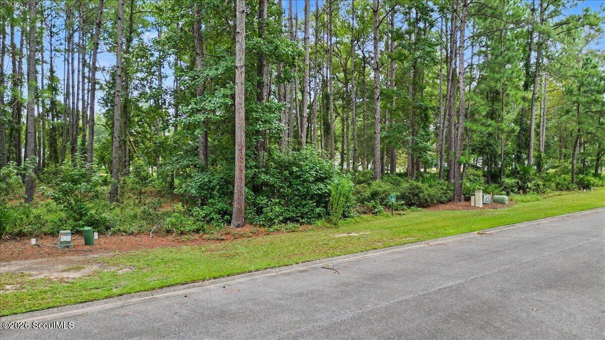 Wooded vacant lot beside a paved road, with tall pines and utility boxes.