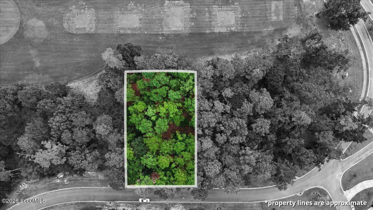 Aerial view of a wooded lot outlined between neighborhood roads.
