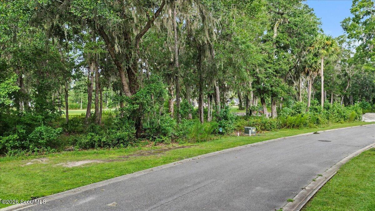 Wooded vacant property beside a paved road, with mature trees draped in Spanish moss.