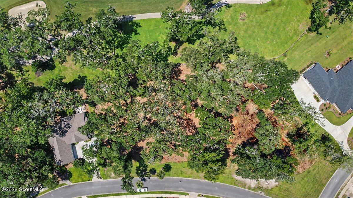 Wooded residential lot with cleared patches beside a curved road and neighboring homes.