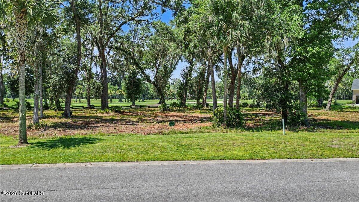 Tree-lined vacant lot with grassy frontage beside a paved road.