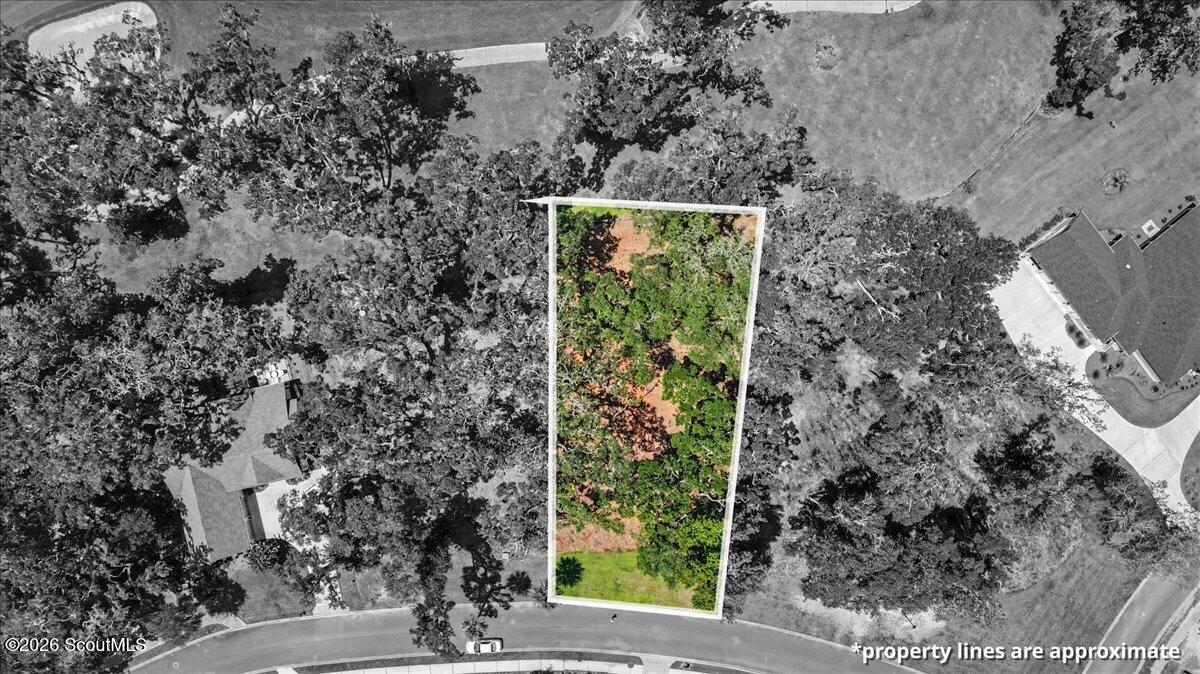 Aerial view of Lot 13 Audubon, a wooded parcel outlined in white beside a curved road.