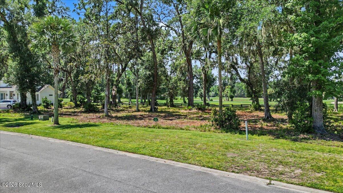 Wooded vacant lot with mature trees beside a paved road and open green space beyond.