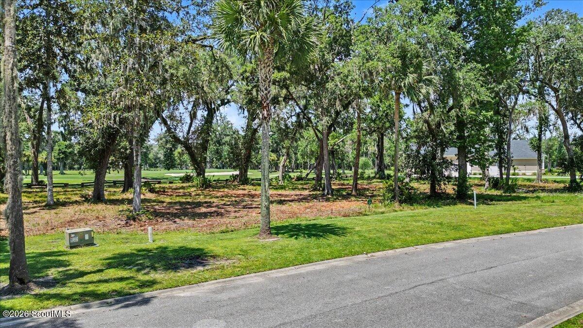 Wooded vacant lot with mature trees and a grassy roadside verge.
