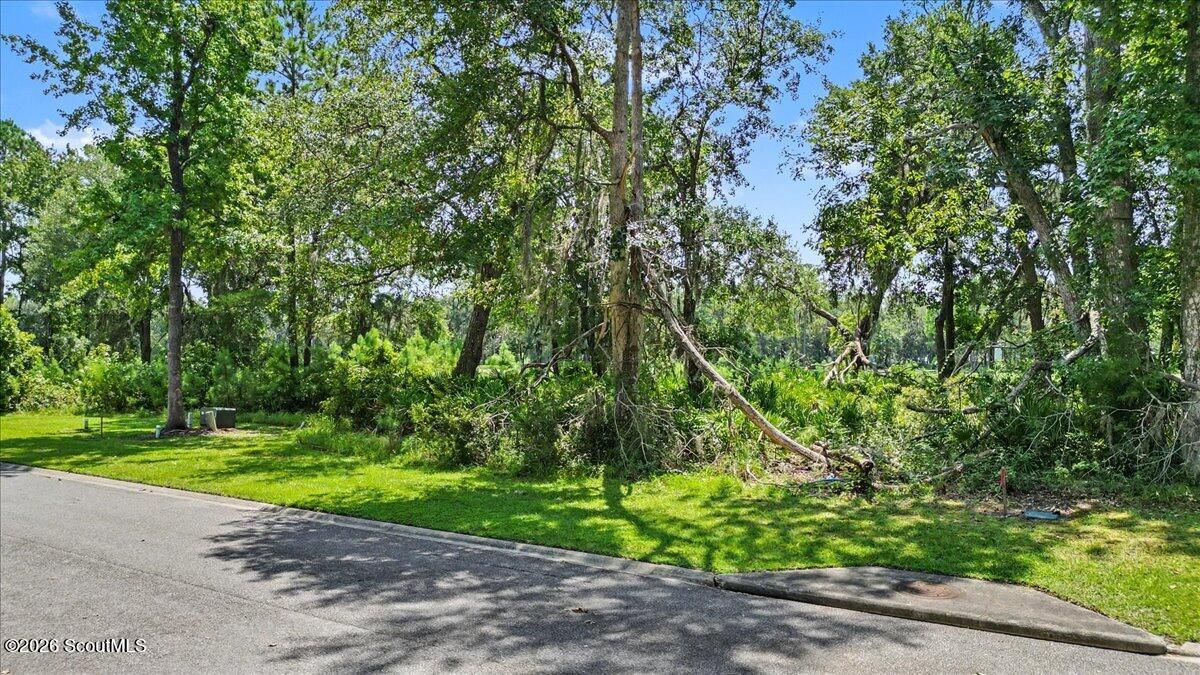 Wooded vacant lot beside a paved road, with mature trees and dense undergrowth.