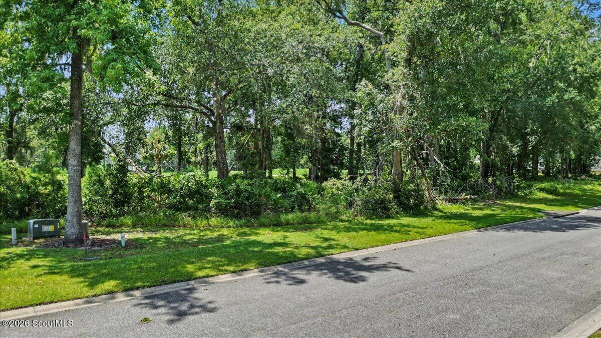 Wooded vacant lot along Sanctuary Wynd, with mature trees, shrubs, and a grassy roadside verge.
