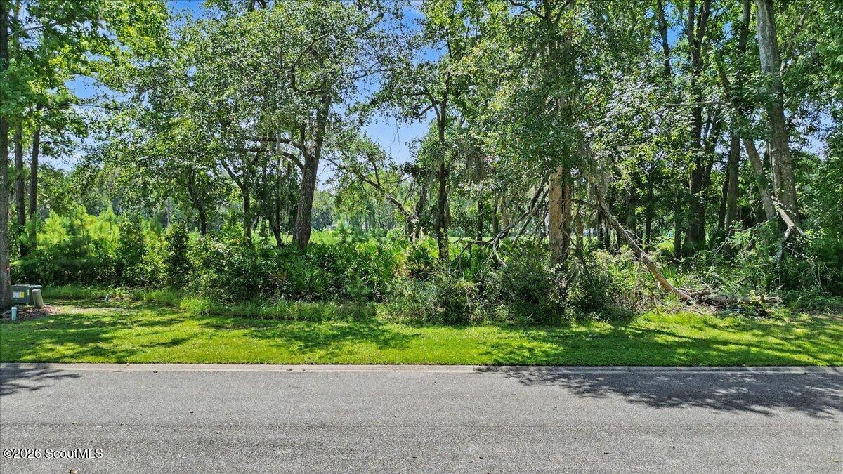 Wooded vacant lot with grassy roadside frontage and mature trees.