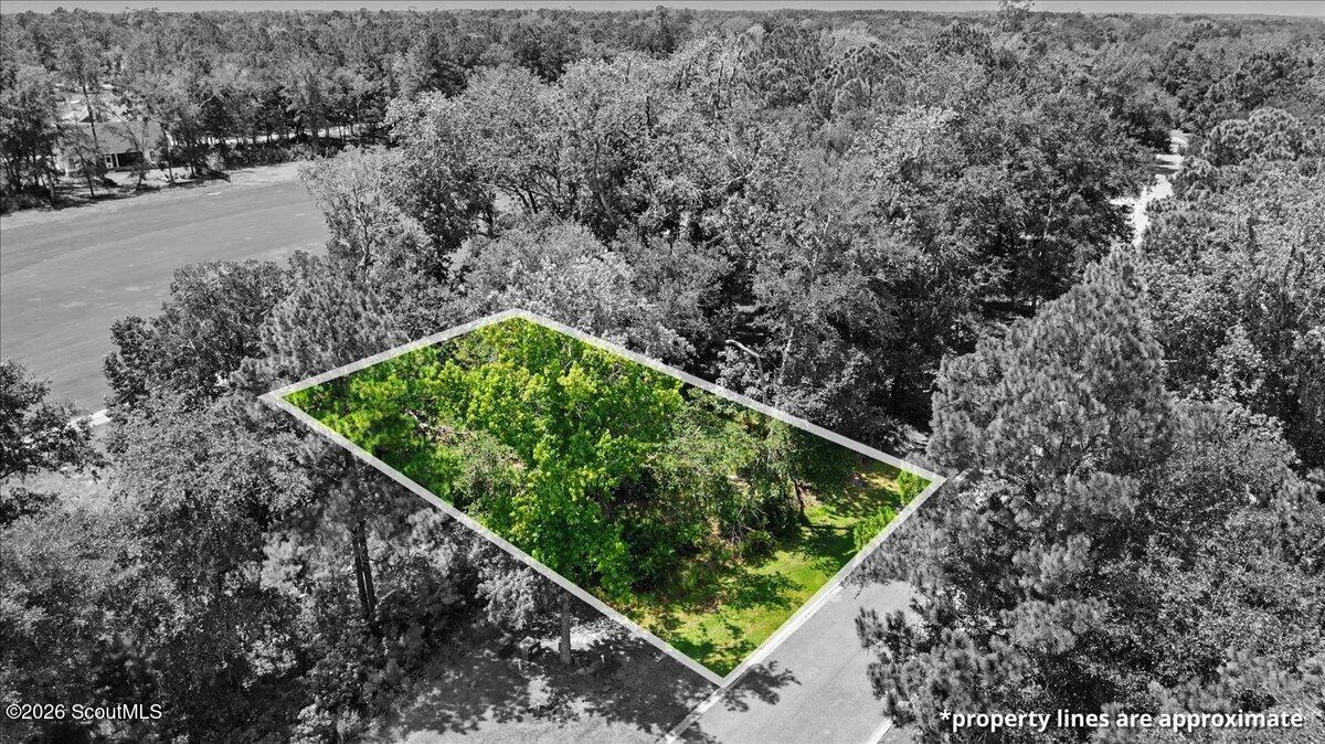 Aerial view of a wooded lot outlined beside a paved road.