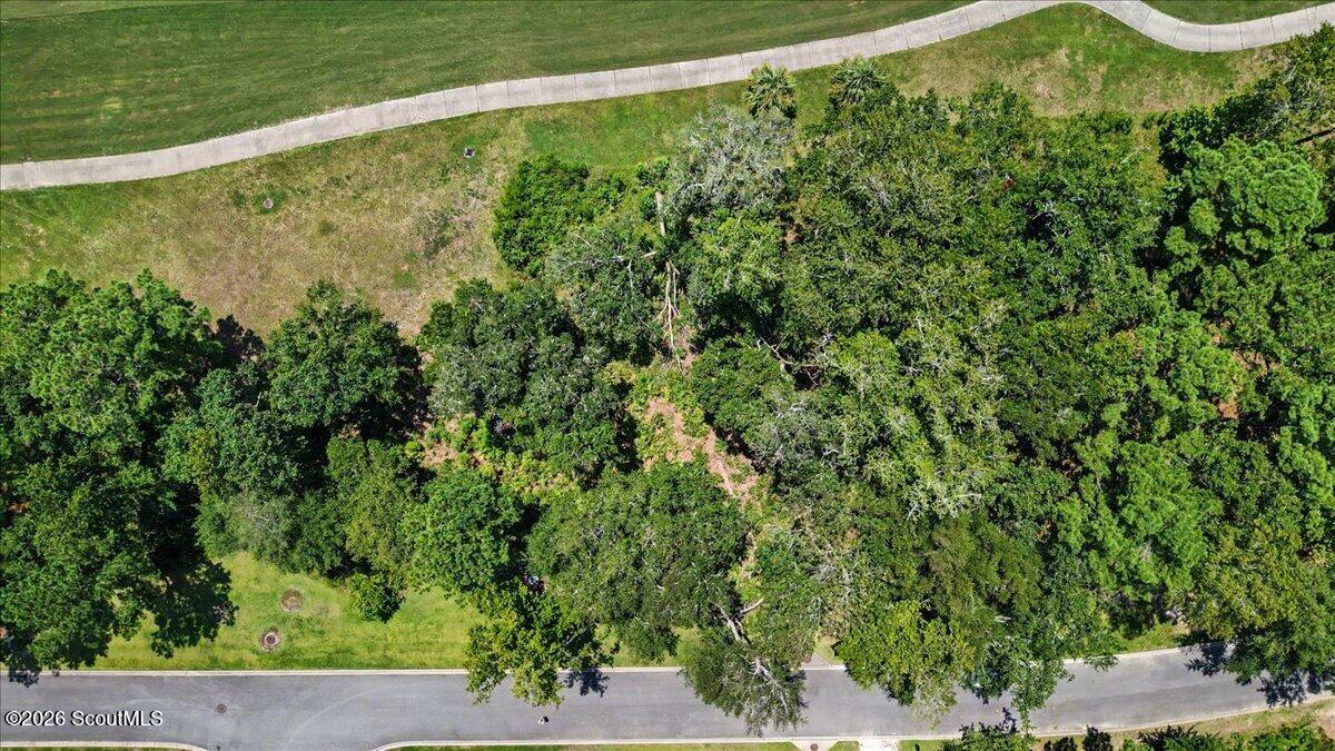 Aerial view of a wooded lot bordered by a paved road and sidewalk.