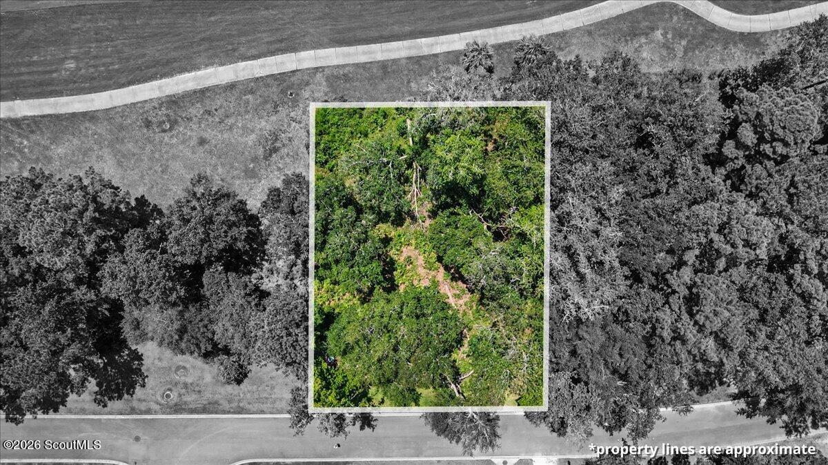 Wooded vacant lot outlined in white between paved roads, with surrounding trees shown in grayscale.