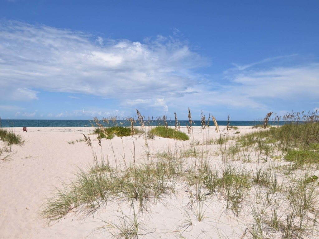 1039 Near Ocean Drive