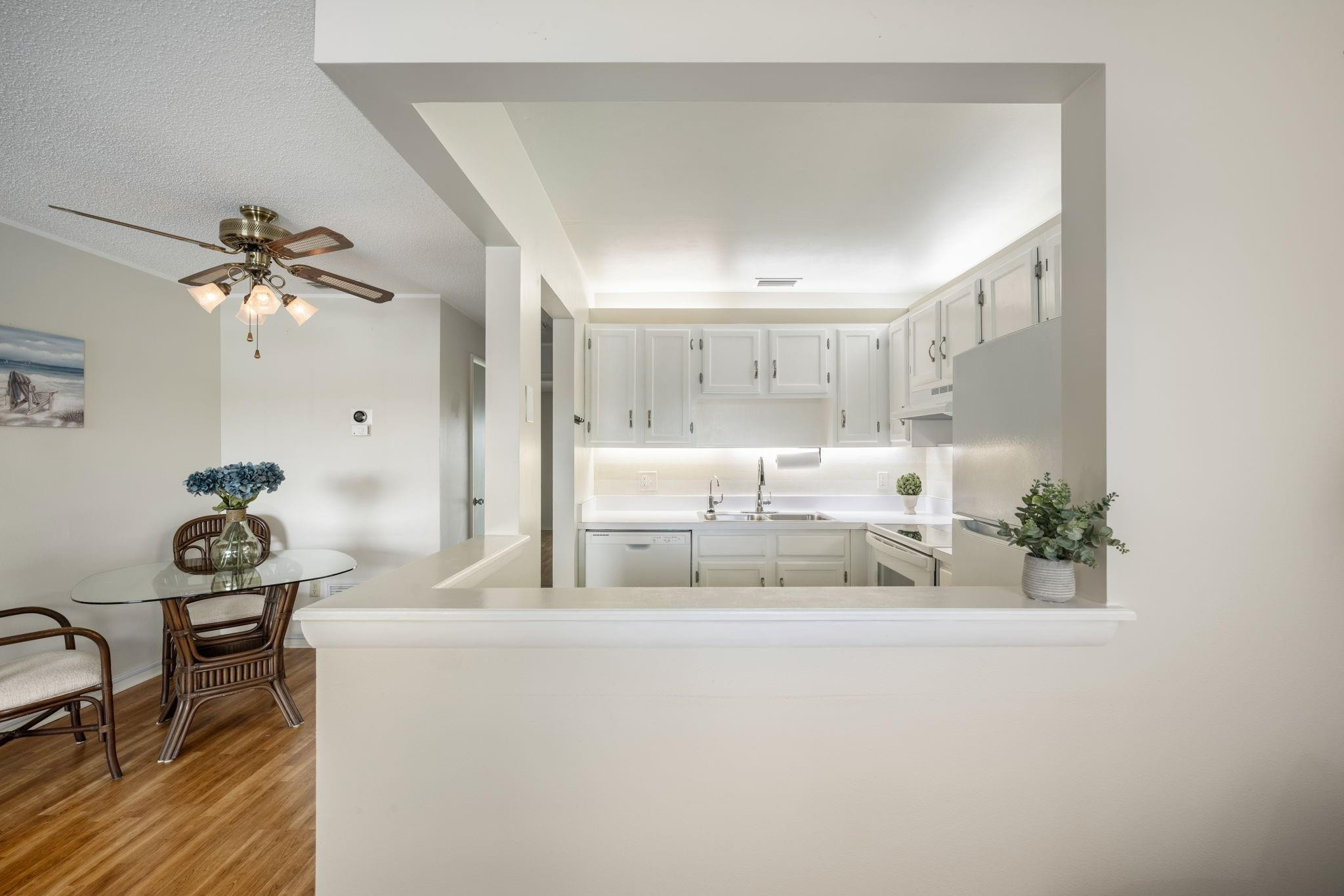 3 Vista Palm Ln
