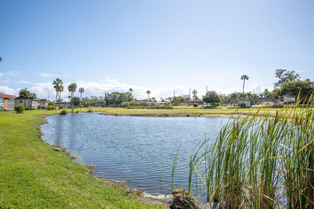 97 Spring Lake Drive 204