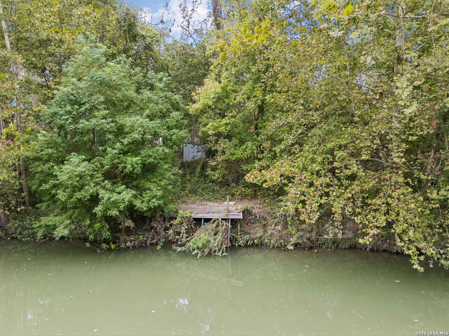 Wooded waterfront with a small dock extending over calm water.