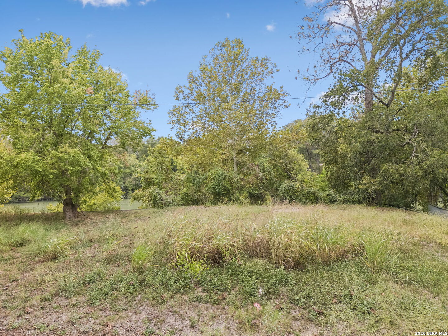 Wooded vacant lot beside a river, with grassy clearing and mature trees.