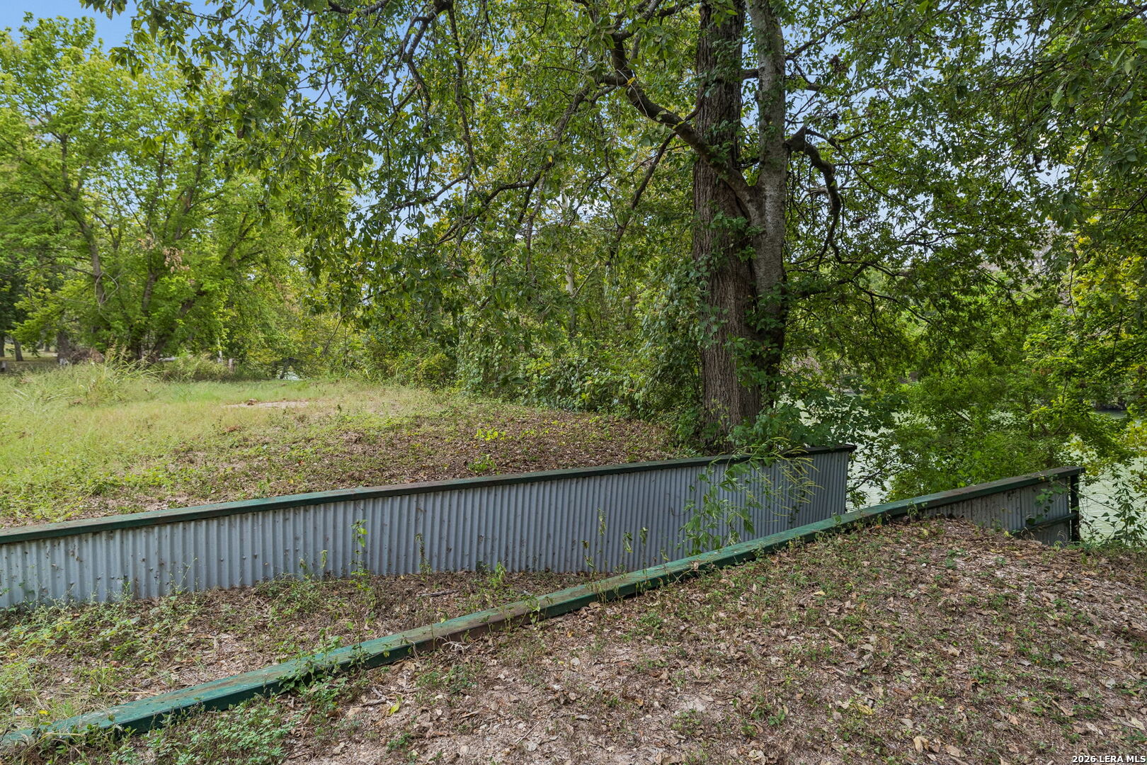 Wooded riverbank with a corrugated retaining wall and water visible through the trees.