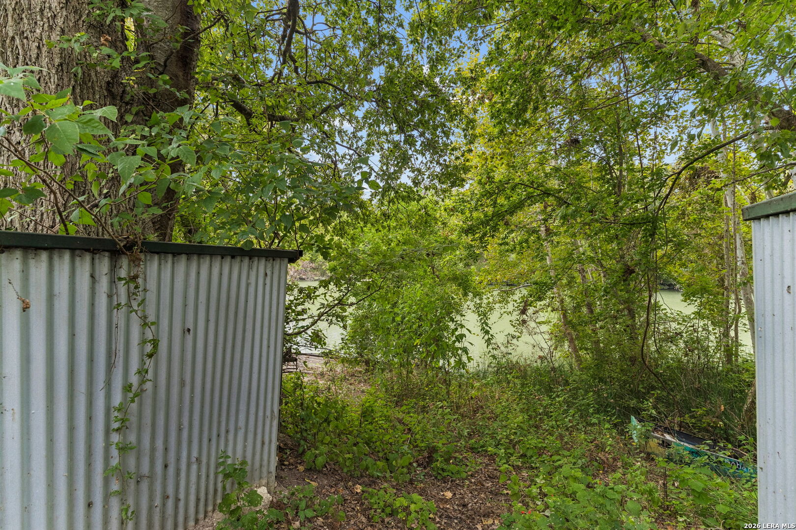 Wooded riverbank visible through an opening between corrugated metal fence panels.