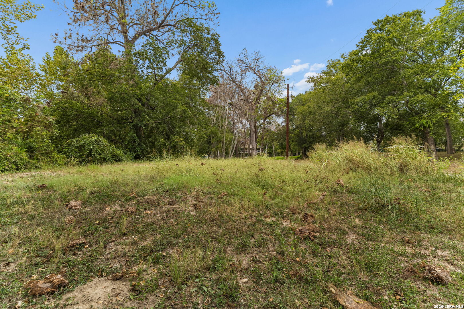 Wooded vacant lot with a grassy clearing and a small structure visible among the trees.