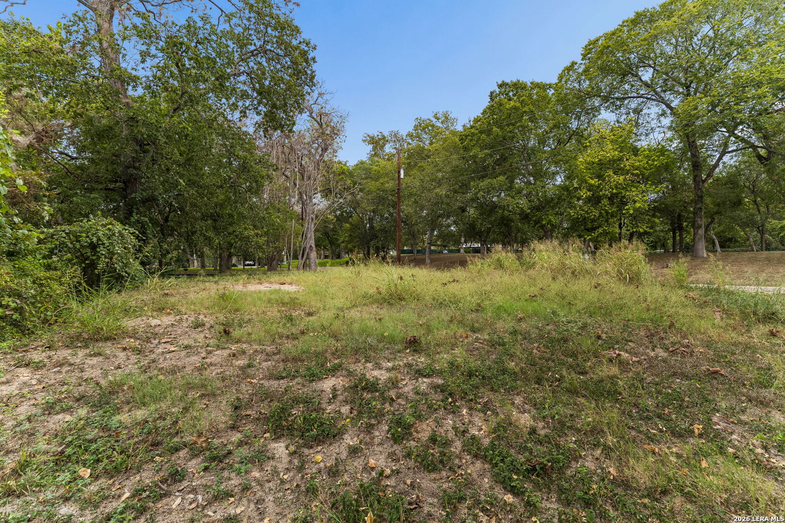 Wooded vacant lot with grassy clearing, mature trees, and a utility pole.