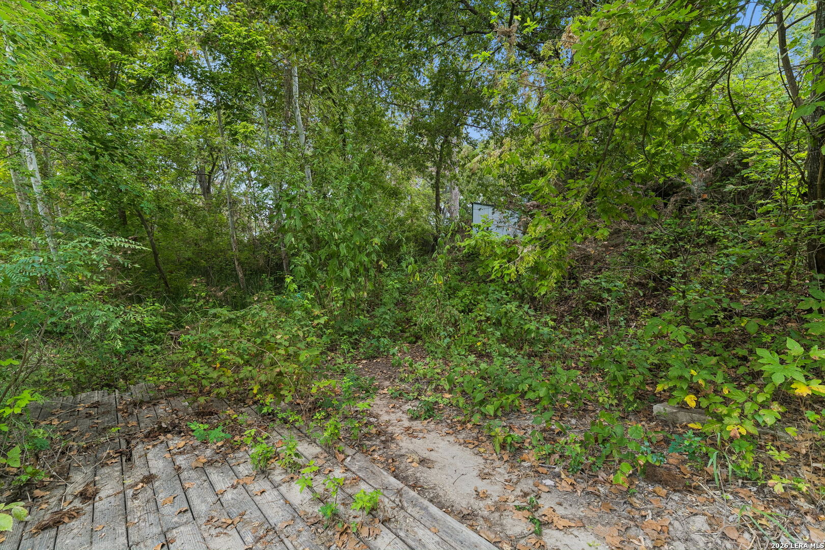 Wooded property lot with a narrow path and weathered wooden decking beneath dense trees.