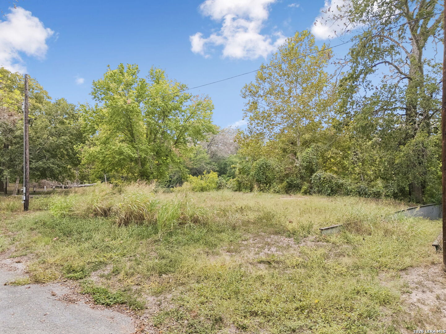 Vacant grassy lot with a tree-lined clearing beside a paved road.