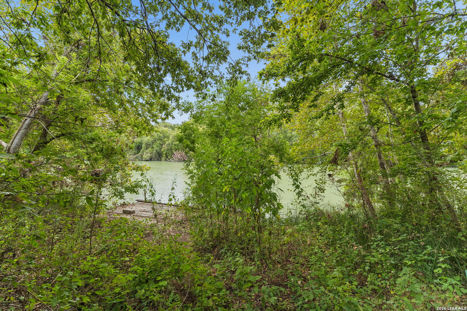 Wooded riverbank with a small wooden landing beside the water.