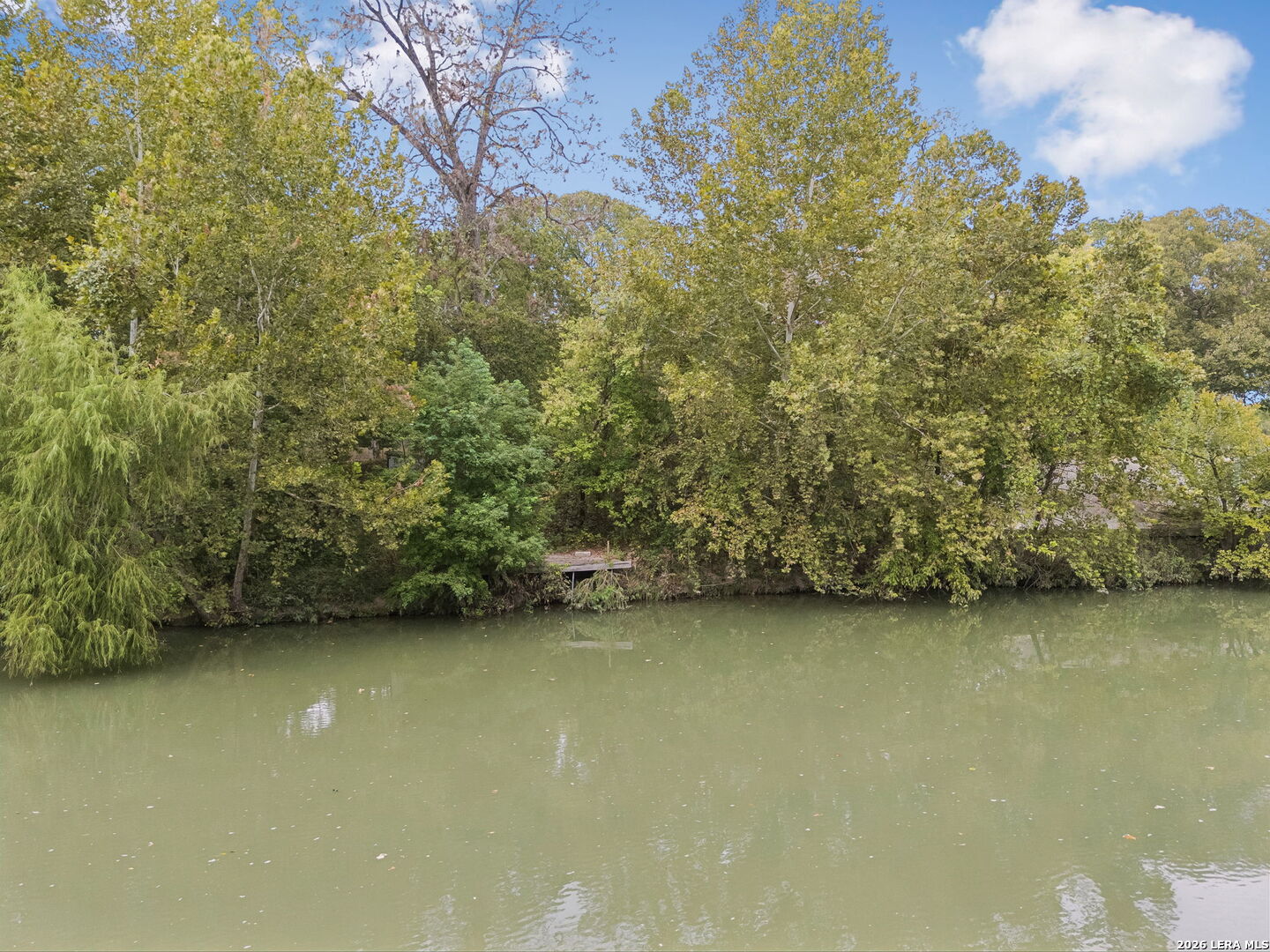 Calm water below a wooded bank, with a small wooden dock at the shoreline.