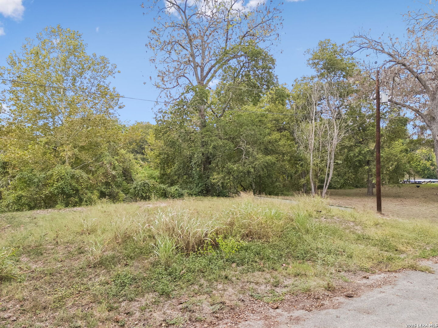 Vacant grassy lot with mature trees and brush beside a paved road.