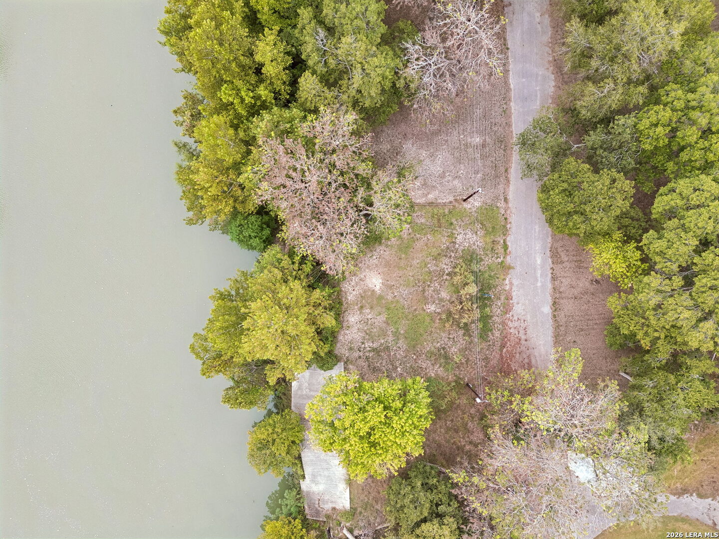 Aerial view of a wooded waterfront lot beside a narrow road.