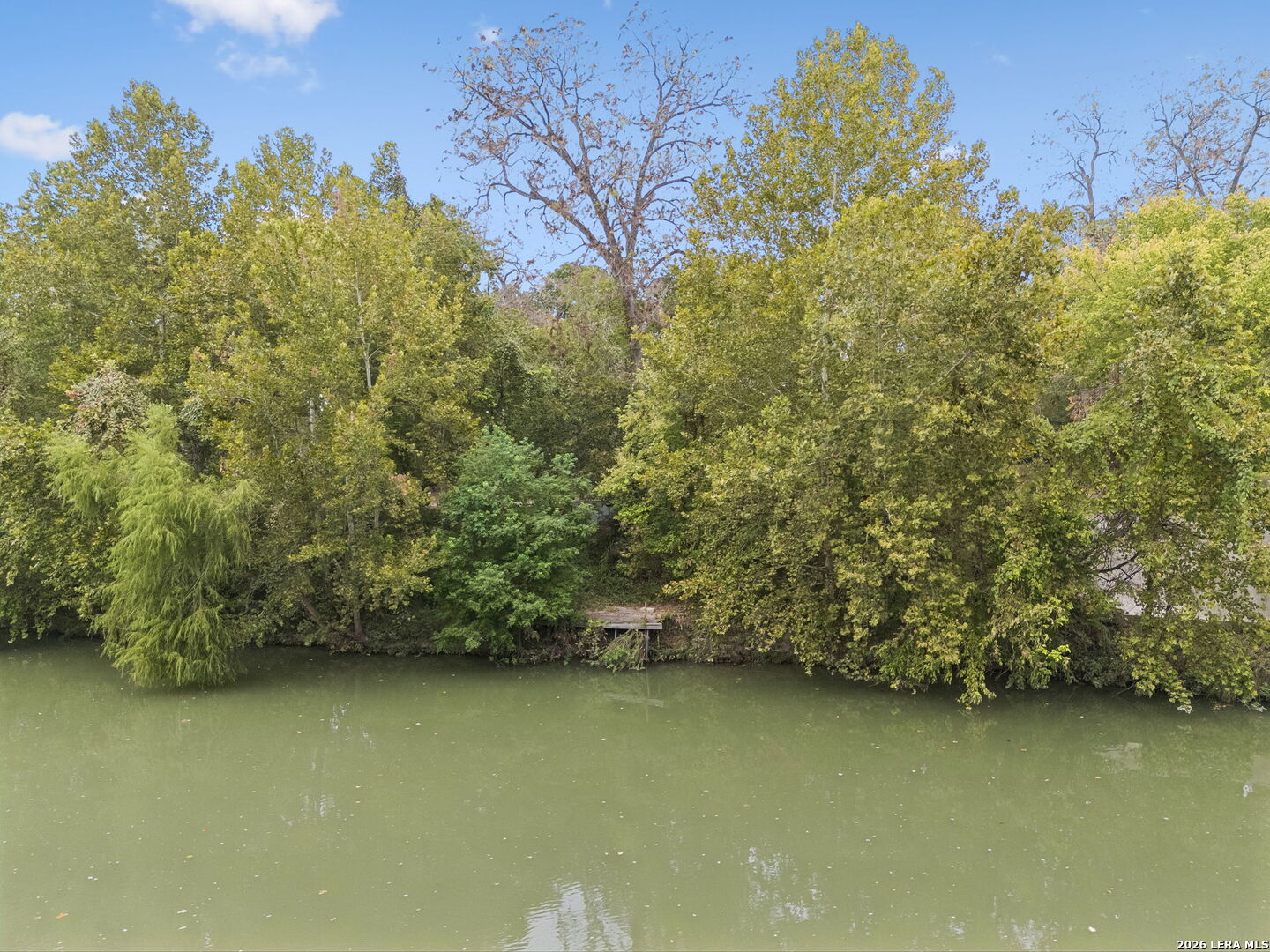Wooded riverbank with a small dock extending over the water.