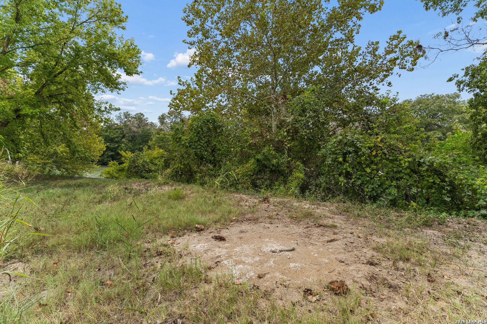 Wooded lot with a sandy clearing and water visible through the trees.
