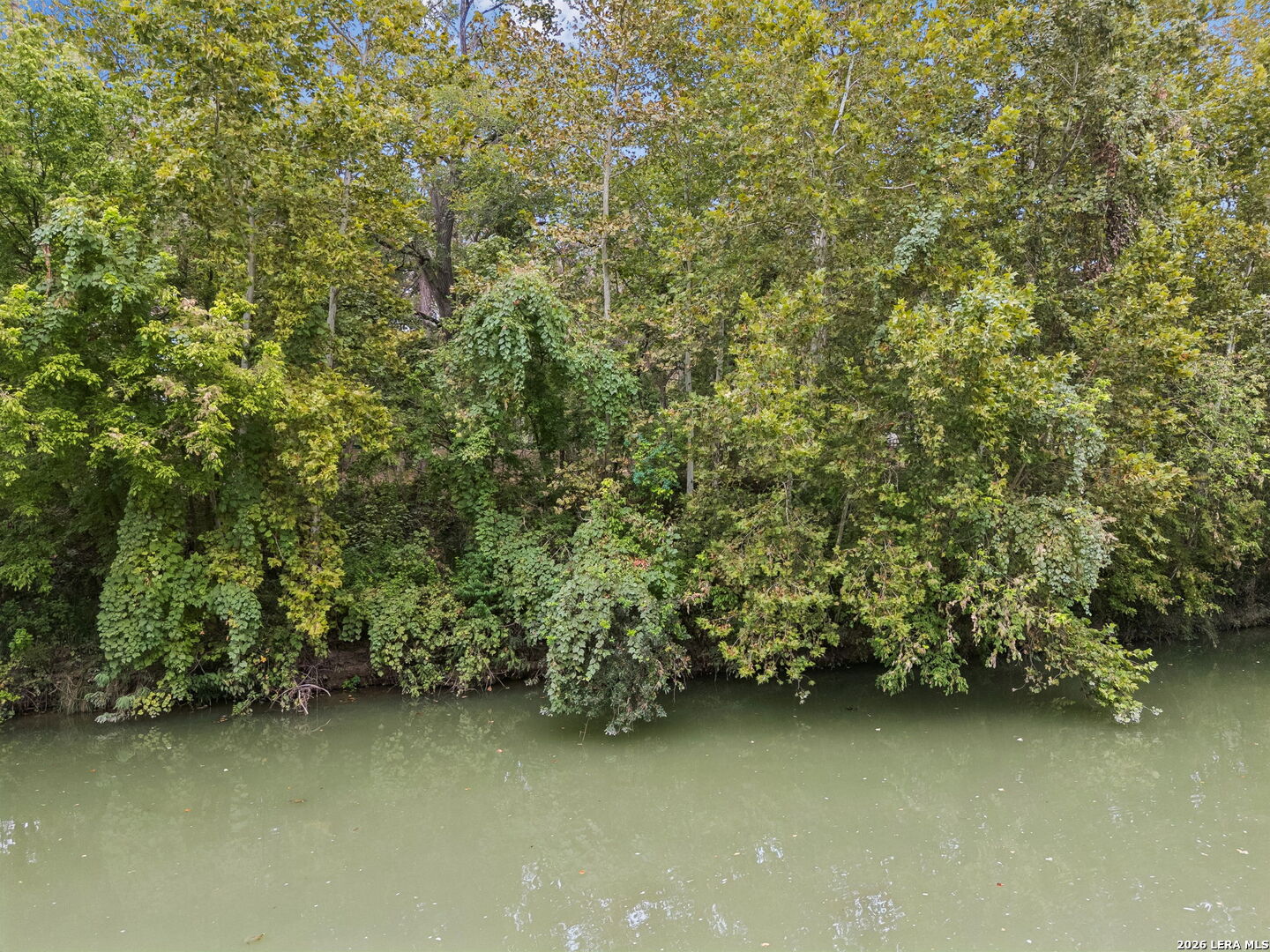 Tree-lined shoreline with dense green and yellow foliage overhanging calm water.