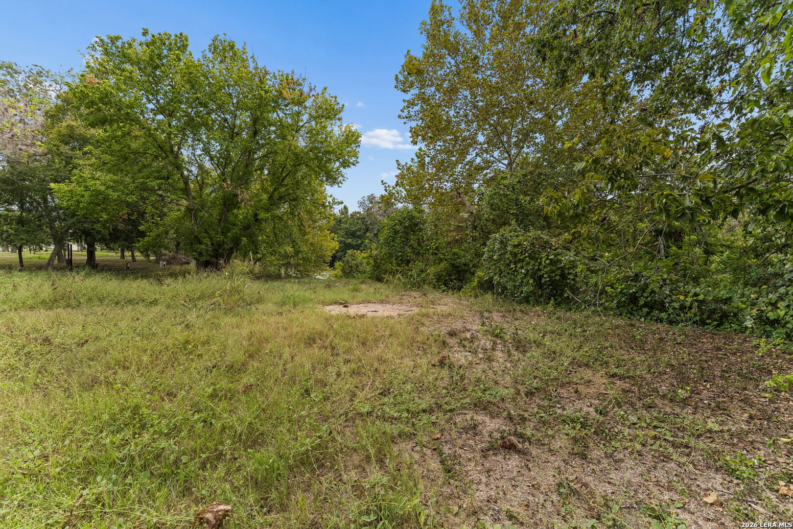 Wooded lot with a grassy clearing and mature trees.