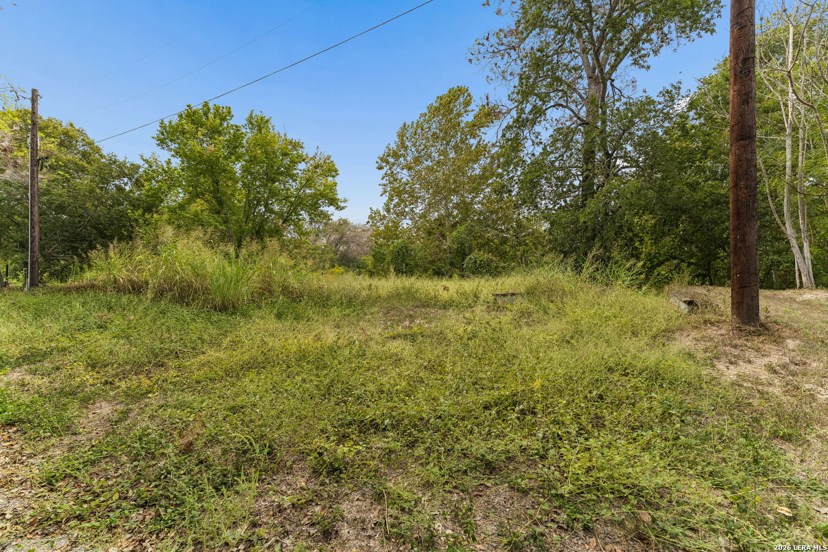 Wooded vacant lot with tall grass, mature trees, and utility poles.