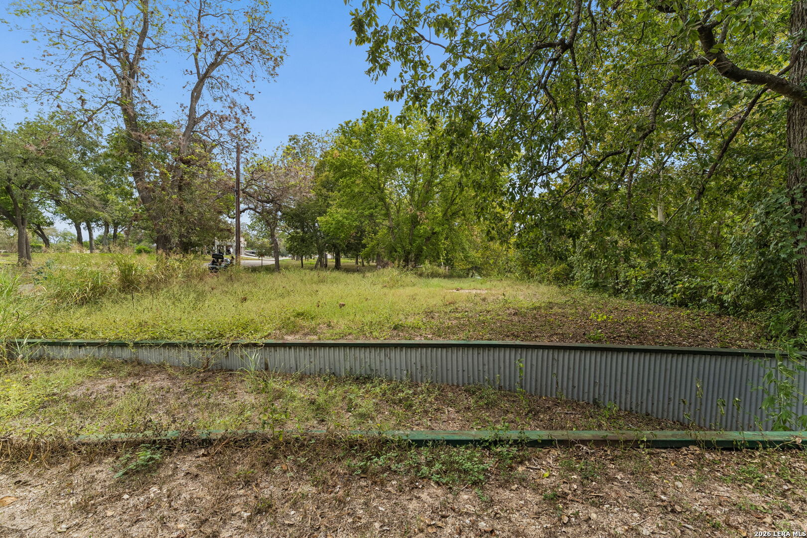 Wooded vacant lot with tall grass and a corrugated metal barrier along the foreground.