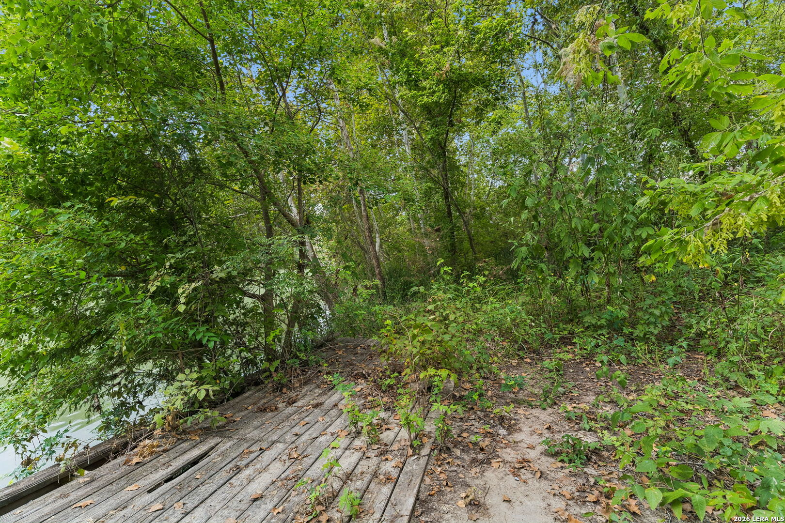 Wooded riverbank with a weathered dock beside the water.