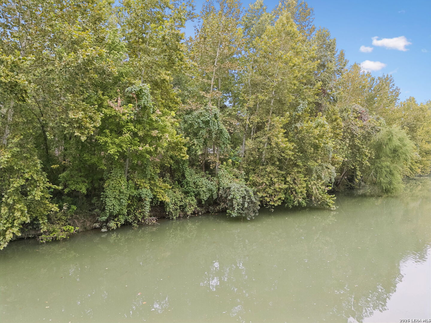 River along a densely wooded bank, with leafy trees reflected in the water.