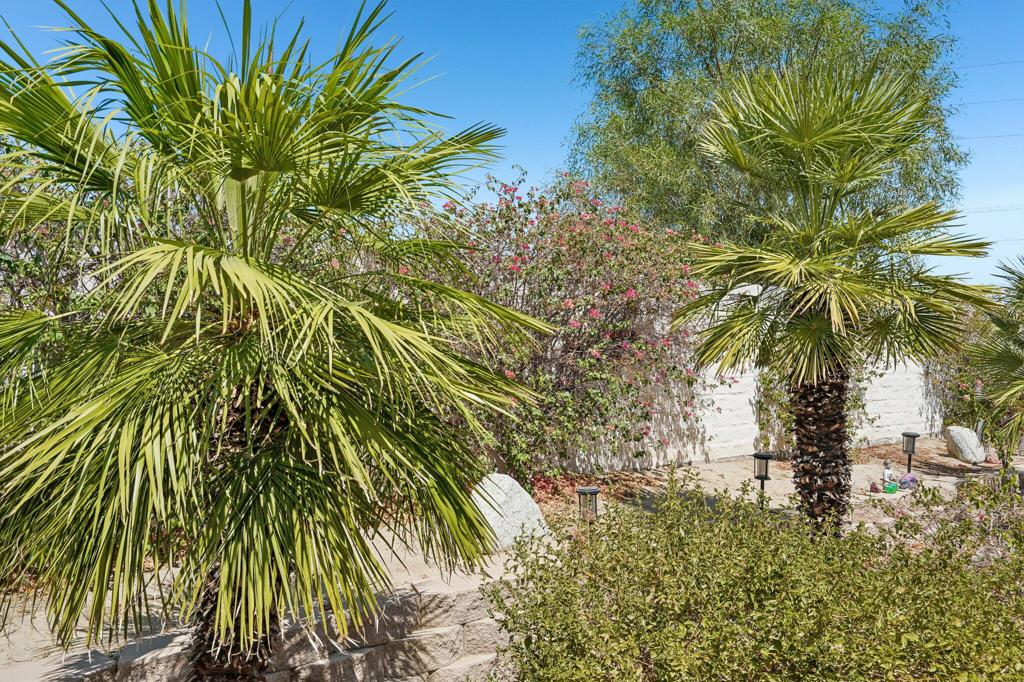 80450 Avenida Linda Vista