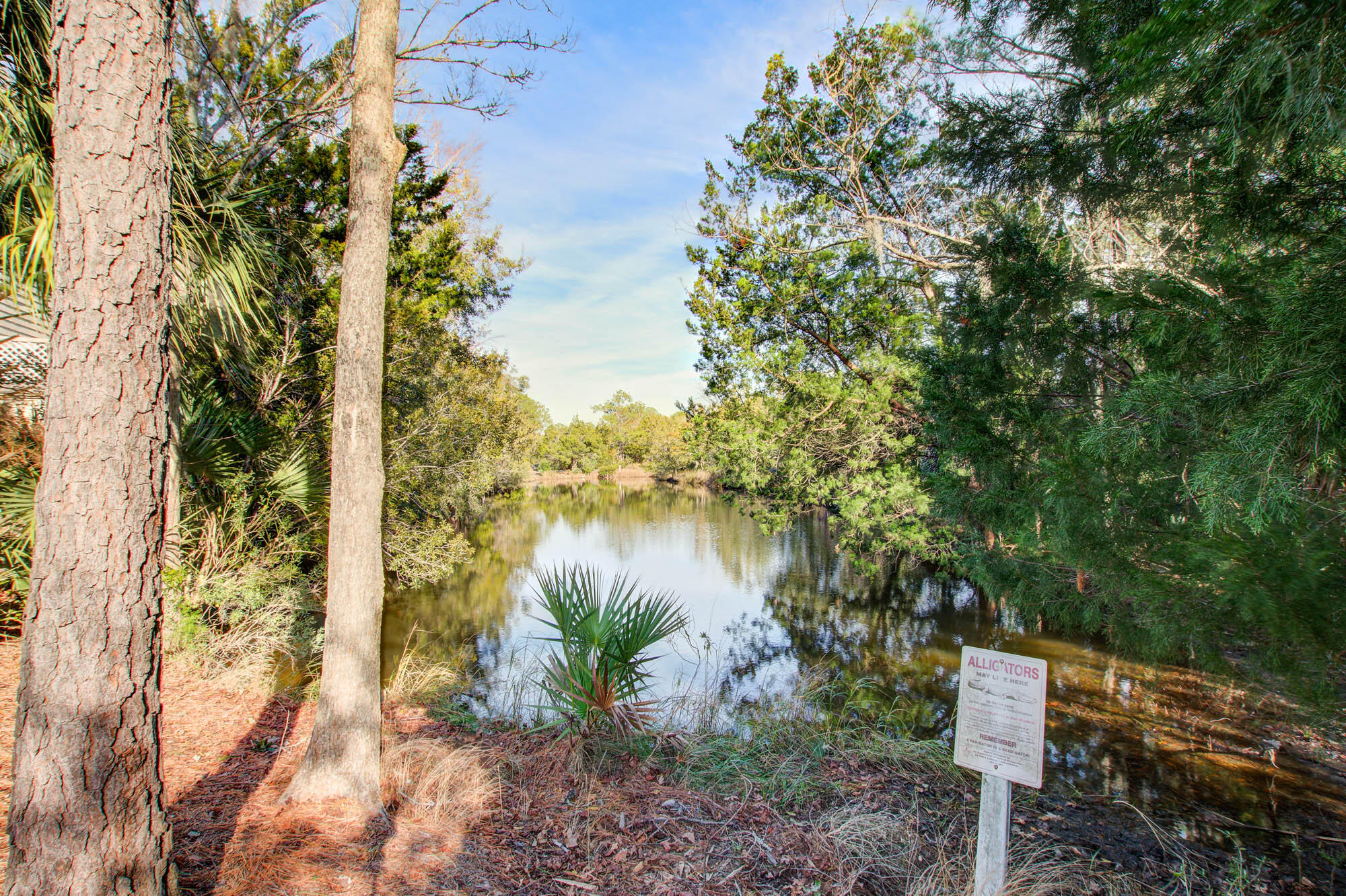 501 Merrifield Ct Court