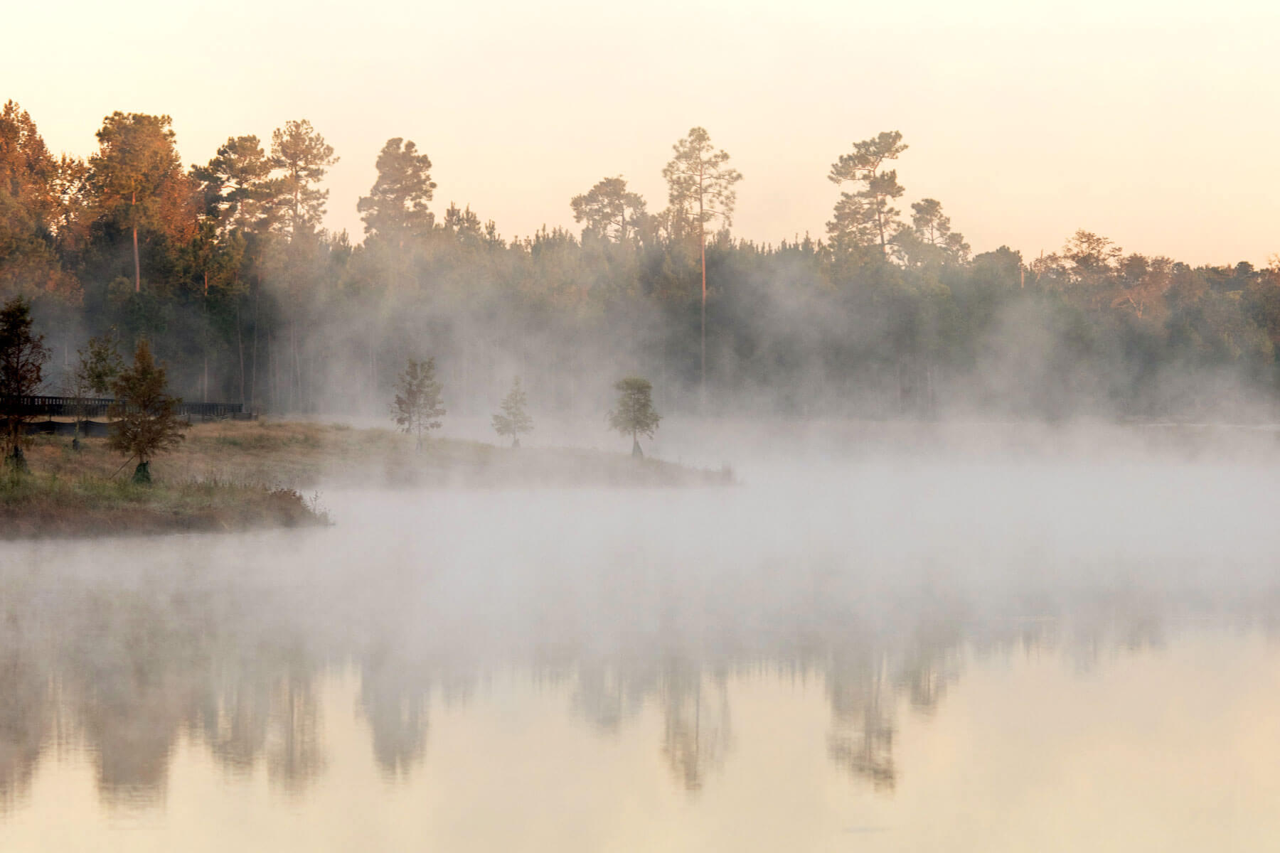 156 Callibluff Drive