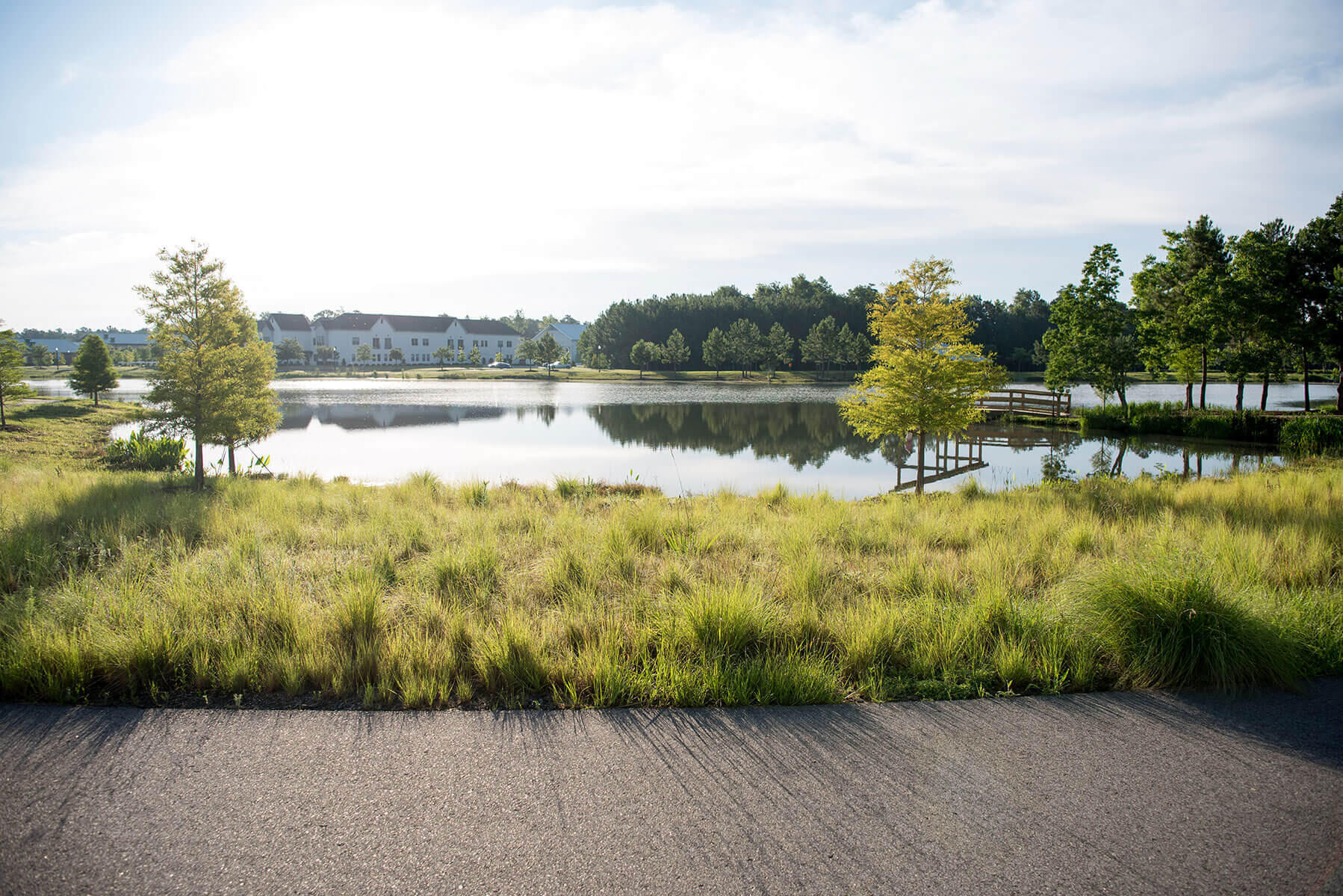 156 Callibluff Drive