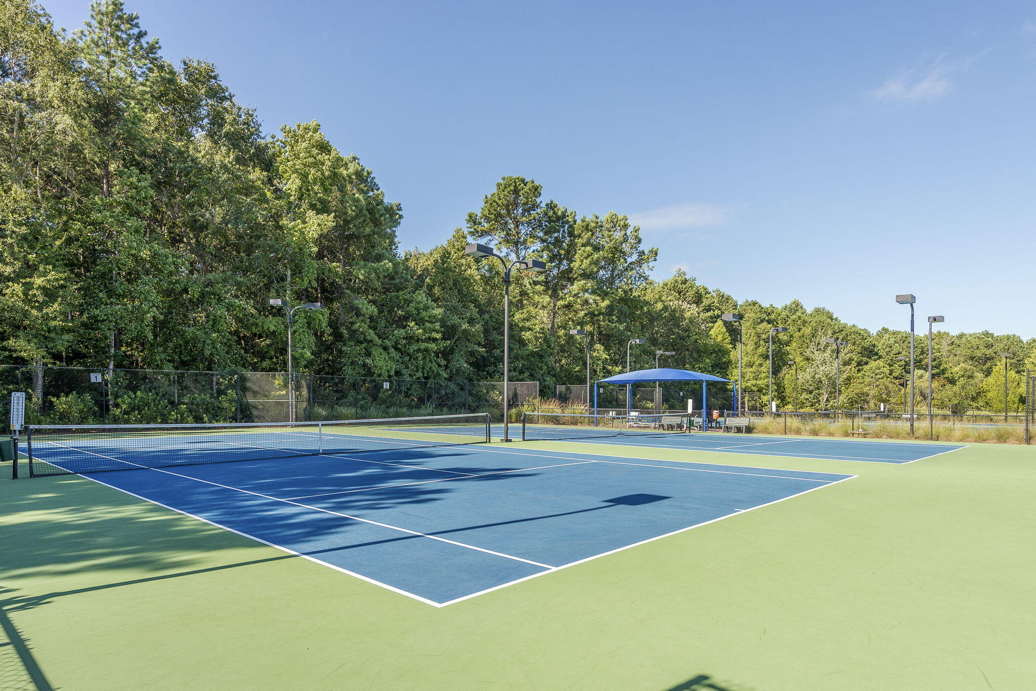 1588 Grey Marsh Road